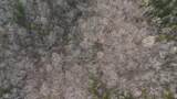 0 Bursot Branch Road - Photo 26