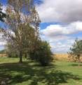 10105 450 - Photo 15
