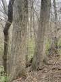 6125 State Road 236 - Photo 8