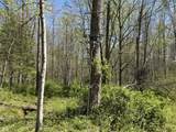7075 County Road 150 - Photo 22