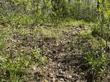 7075 County Road 150 - Photo 25