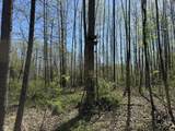 7075 County Road 150 - Photo 32