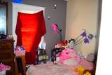321 Harlan Street - Photo 11