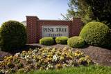 7926 White Pine Drive - Photo 42