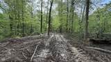 0 Fiscus Cemetery Road - Photo 11