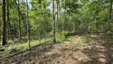 0 Fiscus Cemetery Road - Photo 12