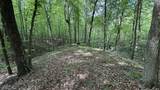 0 Fiscus Cemetery Road - Photo 16