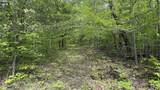 0 Fiscus Cemetery Road - Photo 25
