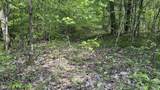 0 Fiscus Cemetery Road - Photo 27