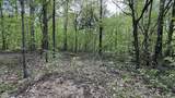 0 Fiscus Cemetery Road - Photo 28