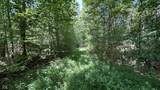 0 Fiscus Cemetery Road - Photo 36