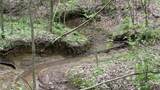 0 Fiscus Cemetery Road - Photo 8