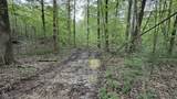 0 Fiscus Cemetery Road - Photo 9