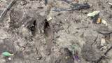 3 Fiscus Cemetery Road - Photo 5
