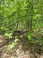 8514 Alma Street - Photo 8
