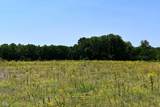 Lot 4 Whitetail Ridge - Photo 1