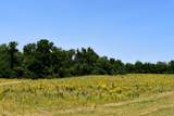 Lot 4 Whitetail Ridge - Photo 4