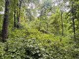 0 Laurel Road - Photo 12
