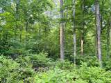 0 Laurel Road - Photo 7