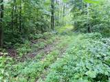 0 Laurel Road - Photo 9