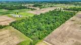 19975 Freemont Moore (Land) Road - Photo 3