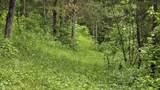 11200 L4 Mccrearys Ridge Road - Photo 17