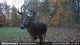 2275 Burma Road - Photo 102