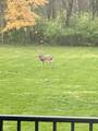 5993 County Road 100 S - Photo 72