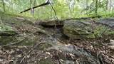 0 Black Ankle Road - Photo 21