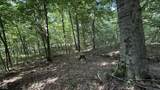 0 Black Ankle Road - Photo 24