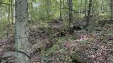 0 Black Ankle Road - Photo 25