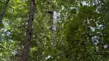 0 Black Ankle Road - Photo 26