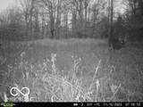 0 Black Ankle Road - Photo 35