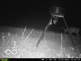 0 Black Ankle Road - Photo 36
