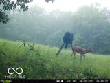 0 Black Ankle Road - Photo 43