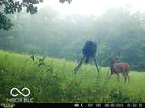 0 Black Ankle Road - Photo 45