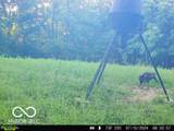 0 Black Ankle Road - Photo 48