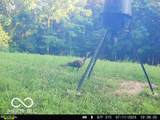 0 Black Ankle Road - Photo 51
