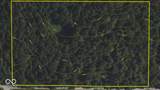 0 Black Ankle Road - Photo 56
