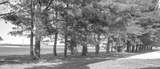 5915 1400 - Photo 92