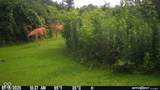 5324 Epler Road - Photo 33