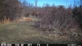 5324 Epler Road - Photo 72
