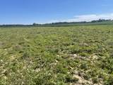 1 Cr 990 North Tract "G" - Photo 1