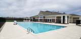 4647 Petunia Drive - Photo 48