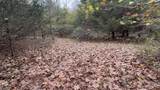 16646 Southeastern Parkway - Photo 80