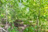 4080 Tansel Road - Photo 5