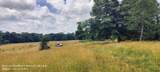 11182 County Road 280 - Photo 13