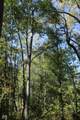 Tract 9   7530 Private Road 775 - Photo 12