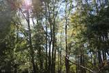 Tract 9   7530 Private Road 775 - Photo 10
