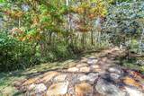 3814 Fox Chase Run - Photo 43
